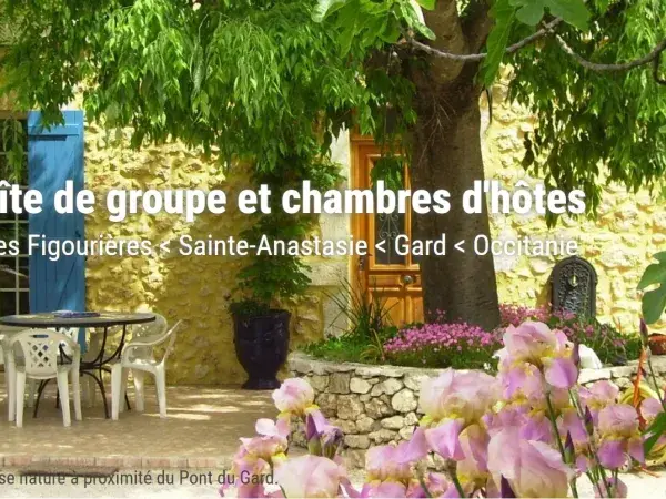 Belle terrasse ensoleillée avec ombrage d'arbres centenaires