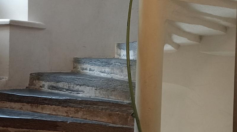 escalier menant aux chambres