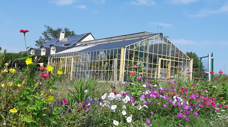 piscine dans une verrière arborée