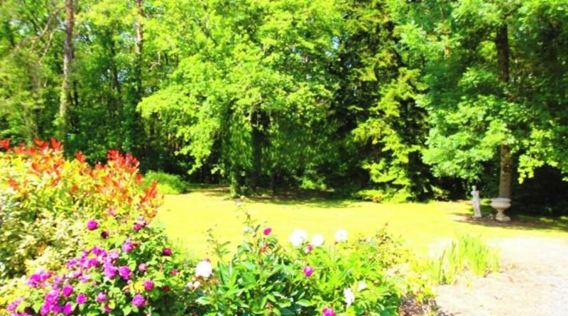 Domaine La Symphonie de la Forêt