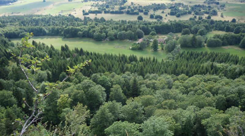 Vue du haut des falaises