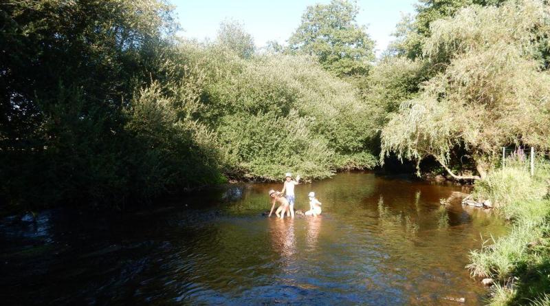 Les Pieds dans l'Eau