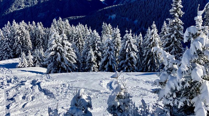 PISTE PRAPOUTEL