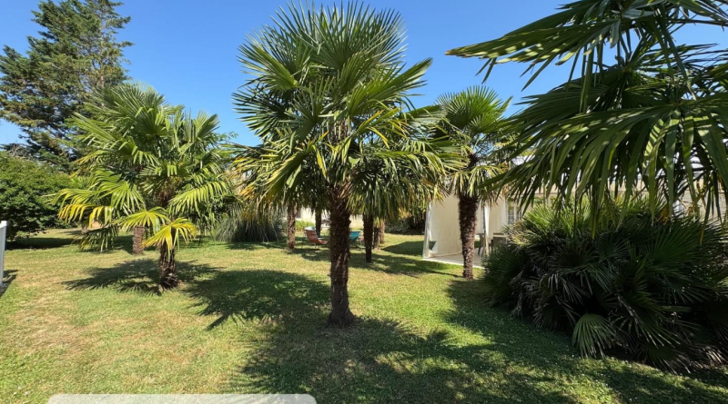 La Palmeraie