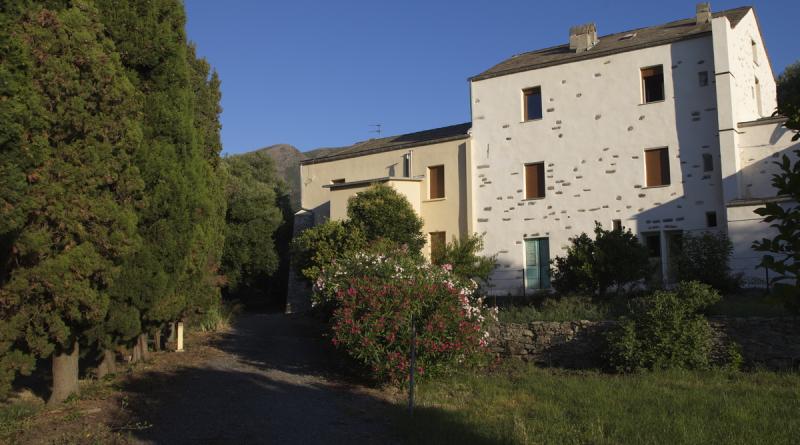 Parc d'oliviers