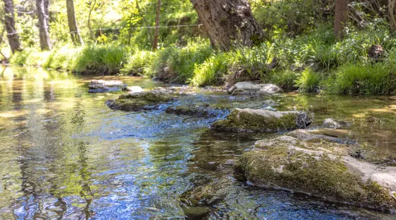 Accès rivière