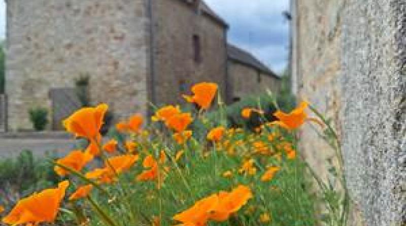Cour au sud