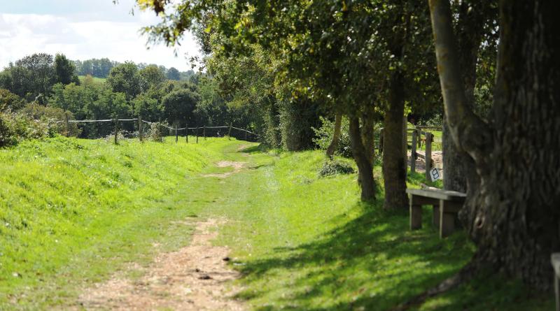 CHEMIN DE RANDONNEE