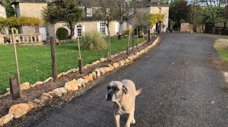 Château de Termes avec Malice la mascotte