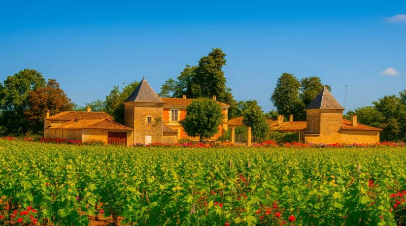 Vue des vignes