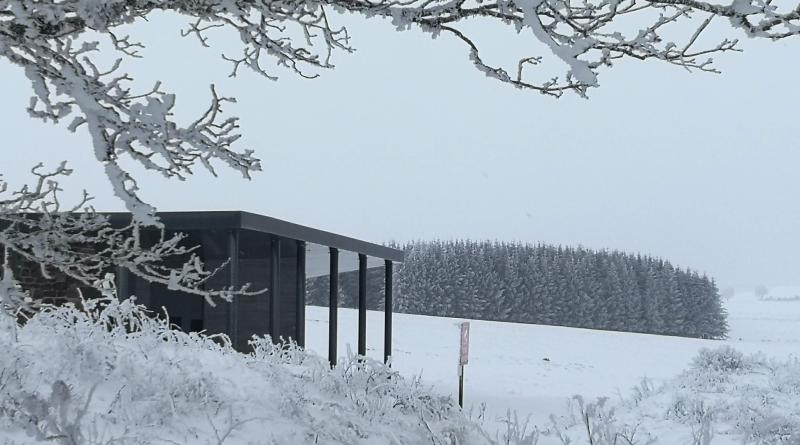la mandra en hiver