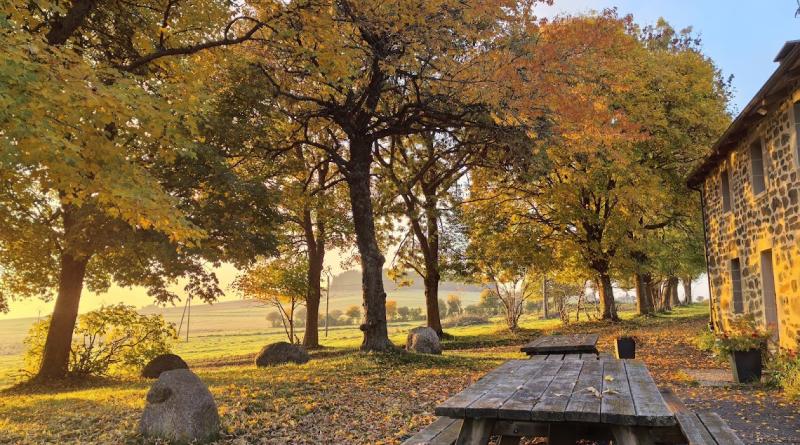la terrasse de la redonde en automne