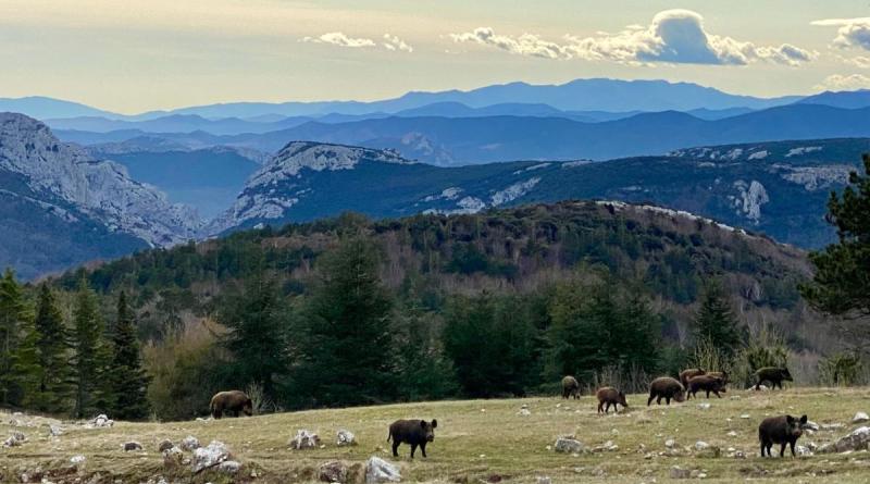 Au milieu d'un parc animalier avec lacs 