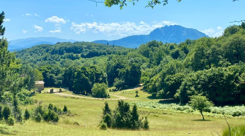 Location avec vue sur le Bugarach